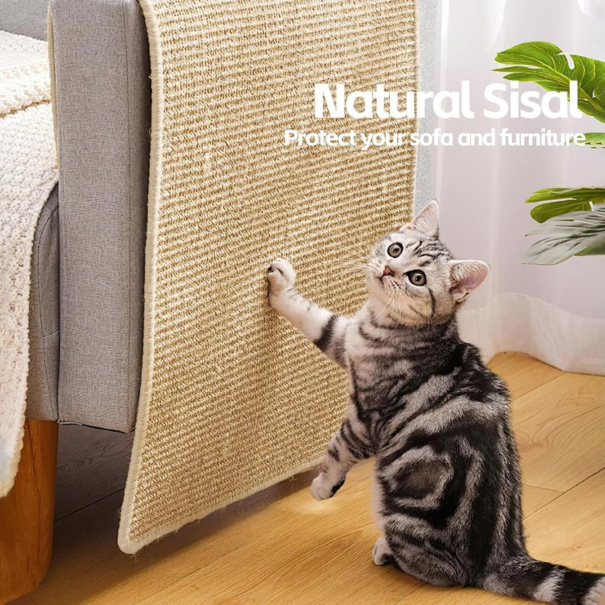 EVERSO - Rascador Gato Sillon Muebles Tipo Alfombra Sisal 80x50cm