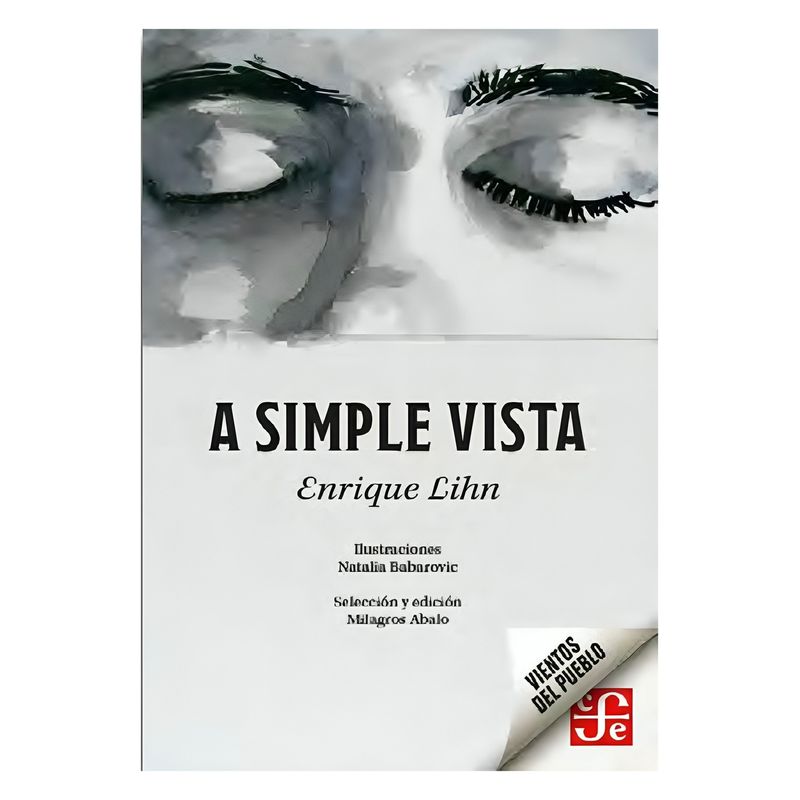 TOP10BOOKS - LIBRO A SIMPLE VISTA / ENRIQUE LIHN, NATALIA BABAROVIC / FONDO DE CULTURA ECONÓ