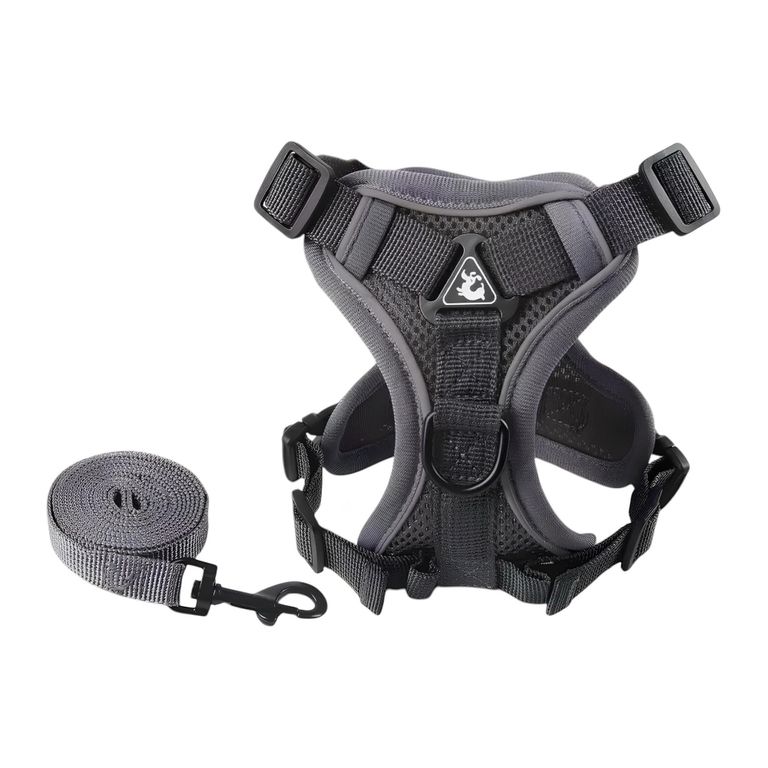 Arnes Para Perro Con Correa Reflectantes Momo XL Gris