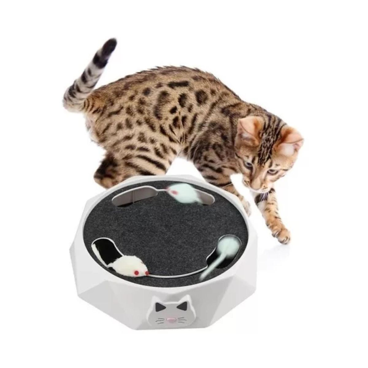 GENERICO - Juguete Interactivo Electrico Ratones Para Gatos Mascotas