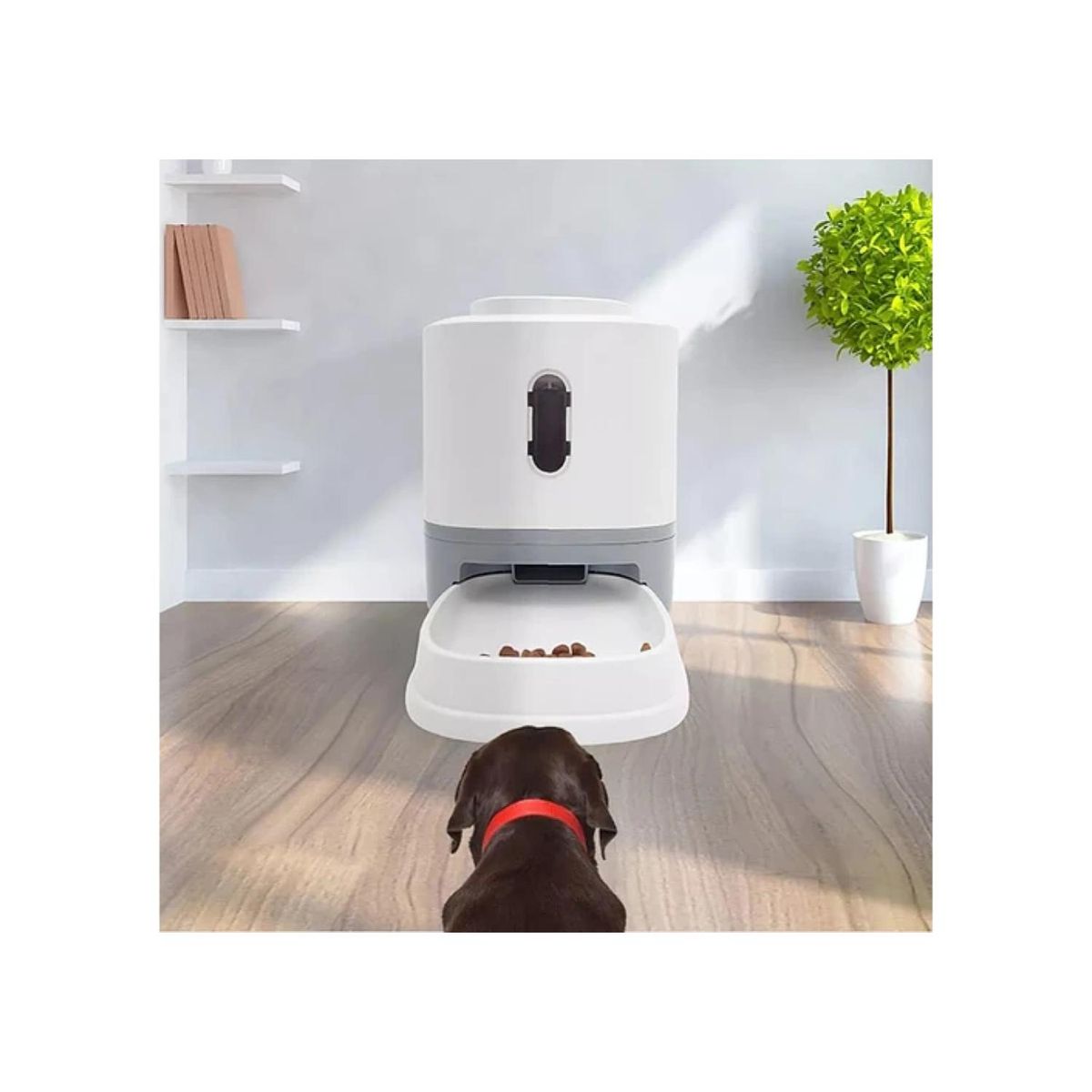GENERICO - Plato De Comida Interactivo Automatico Para Perros Gatos