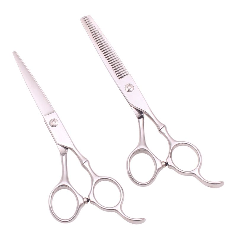 GENERICO - Set de tijeras profesionales de peluquería para diestros plata