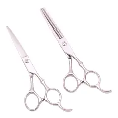 GENERICO - Set de tijeras profesionales de peluquería para diestros plata