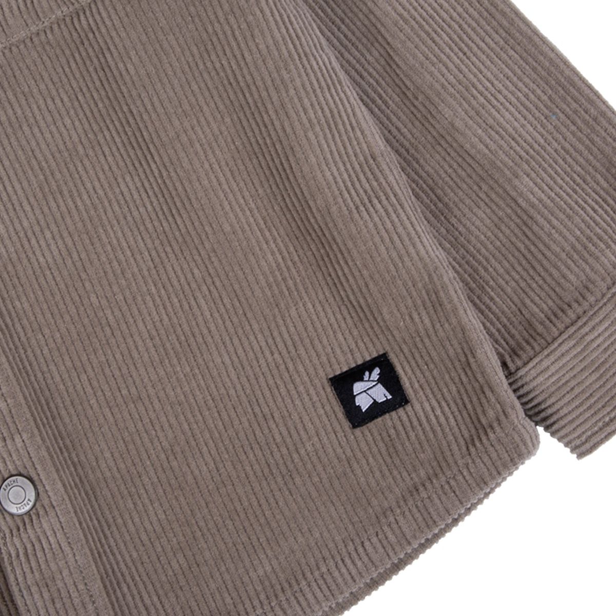 PILLIN - Camisa  Café Pillin  PVB823-25CAQ  - Café