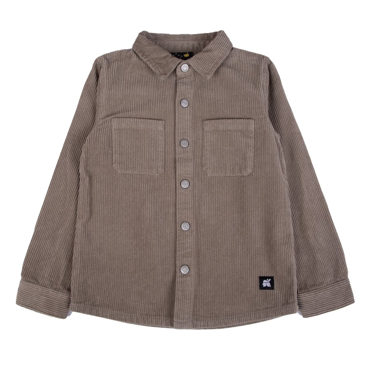 PILLIN - Camisa  Café Pillin  PVB823-25CAQ  - Café