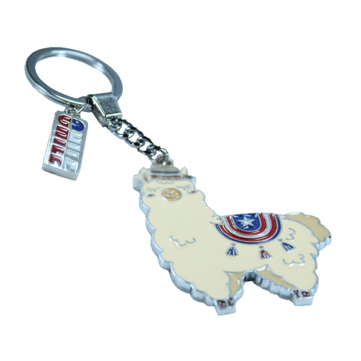 GENERICO - Llaveros Tipicos Chile Regalo Recuerdo Ciudades Chile Pack 12 Unidades