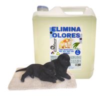 PROMO ELIMINA OLORES ORINA Y HECES EUCALIPTO 5LT + MANTA