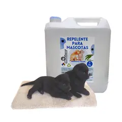 MOHICAN - PROMO ELIMINA OLORES ORINA Y HECES EUCALIPTO 5LT + MANTA
