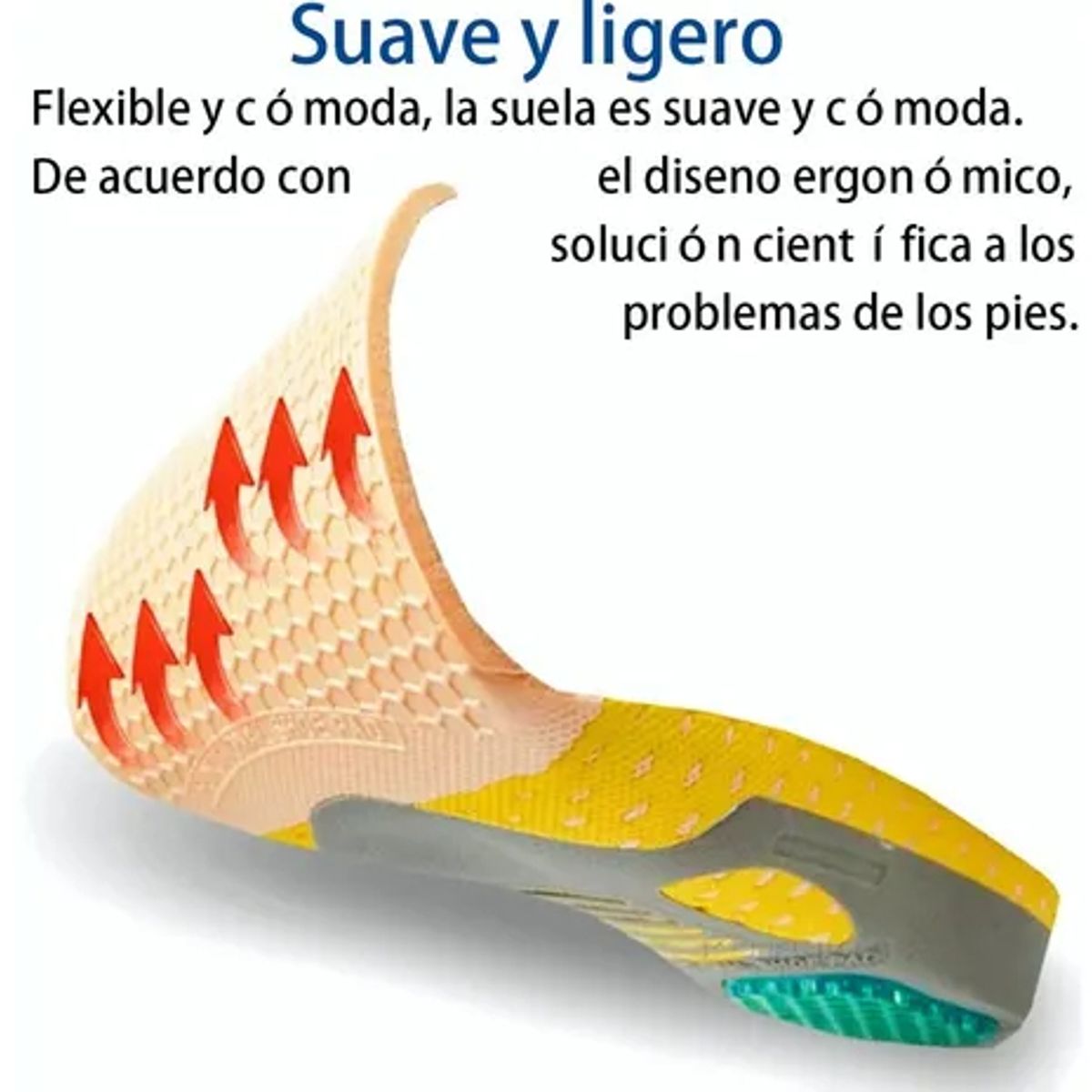 EDWINAYY - Plantillas Ortopédicas Para Fascitis Plantar Pie Plano