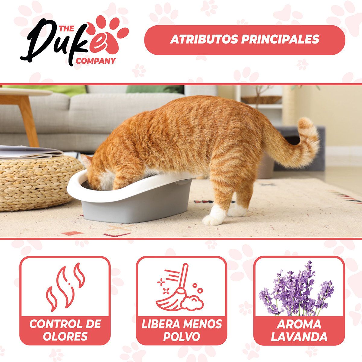 THE DUKE COMPANY - Arena Sanitaria Para Gato 20 kg Duke Bentonita Aglutinante