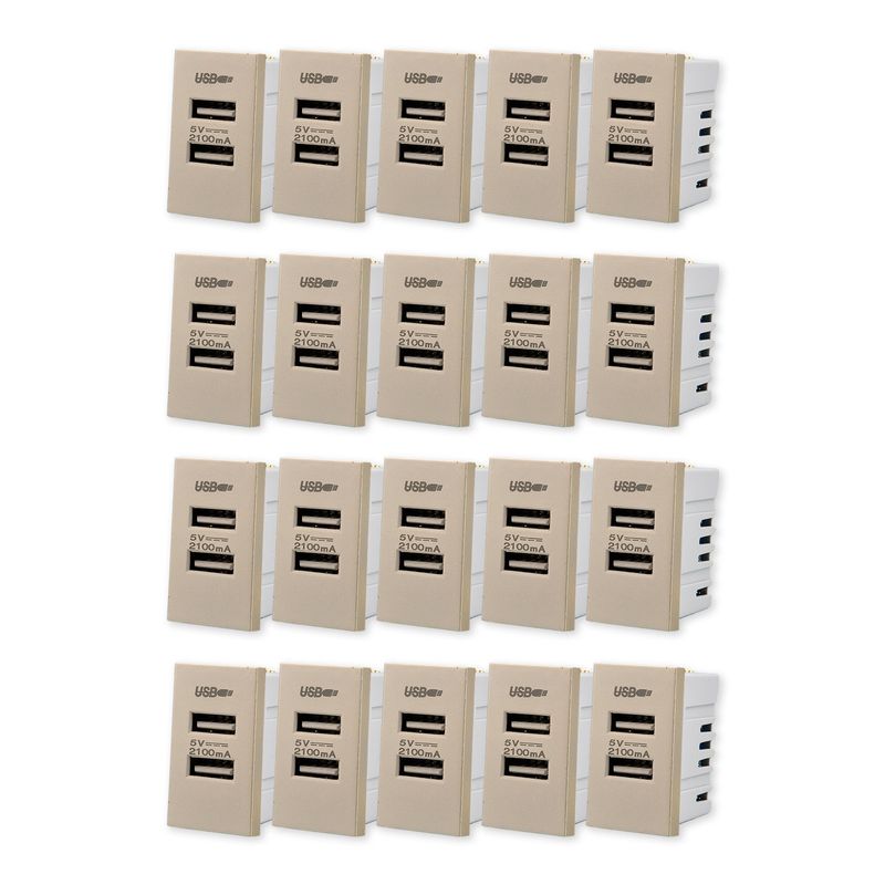 WANT - Pack 20 Módulo USB Doble Metálico 250V - Dorado