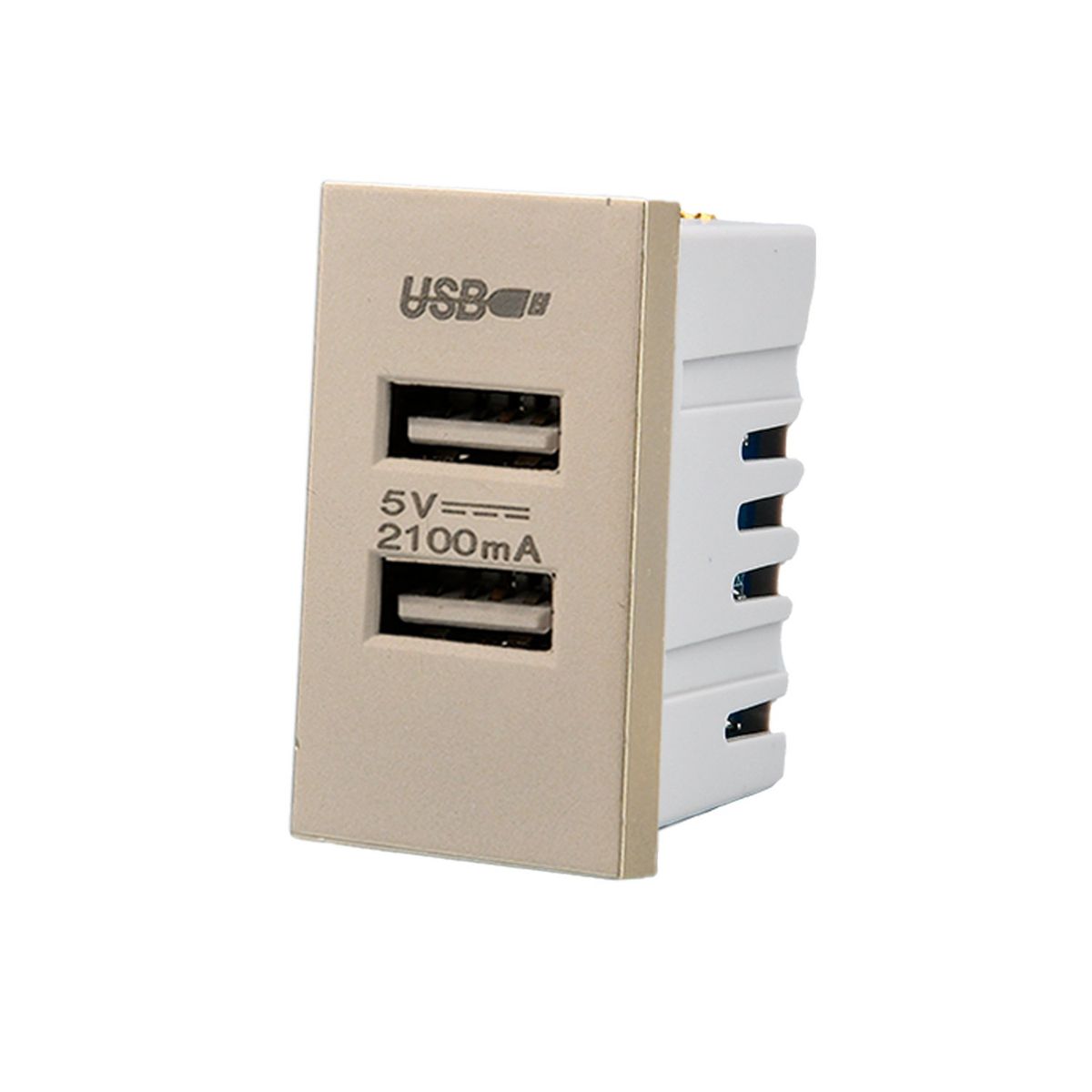 WANT - Pack 20 Módulo USB Doble Metálico 250V - Dorado
