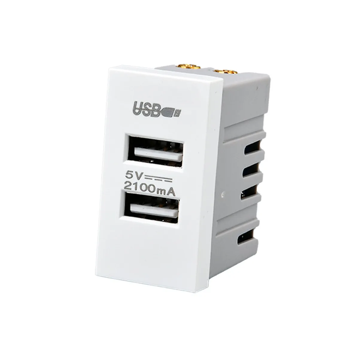 WANT - Pack 20 Módulo USB Doble Metálico 250V - Blanco