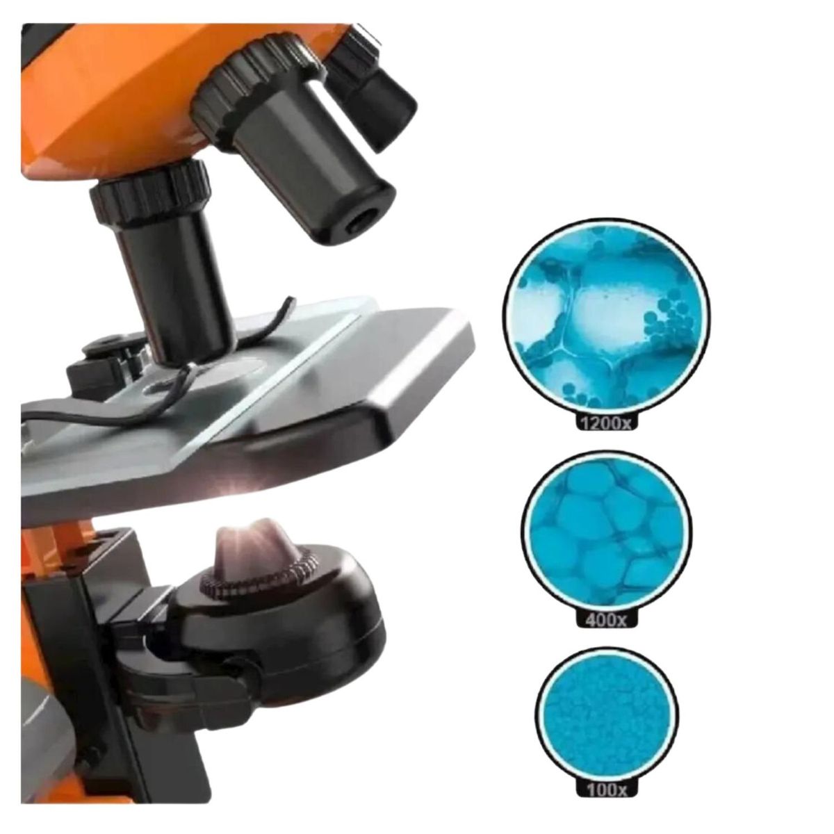 GENERICO - MICROSCOPIO EDUCATIVO 1200X PARA NIÑOS Y KIT ACCESORIOS MZ60
