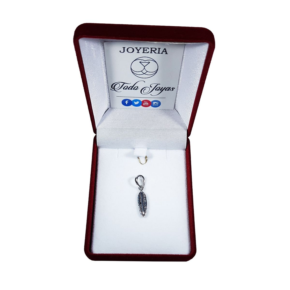 TODOJOYAS - Charm Dije Colgante Pluma De Angel Plata 925