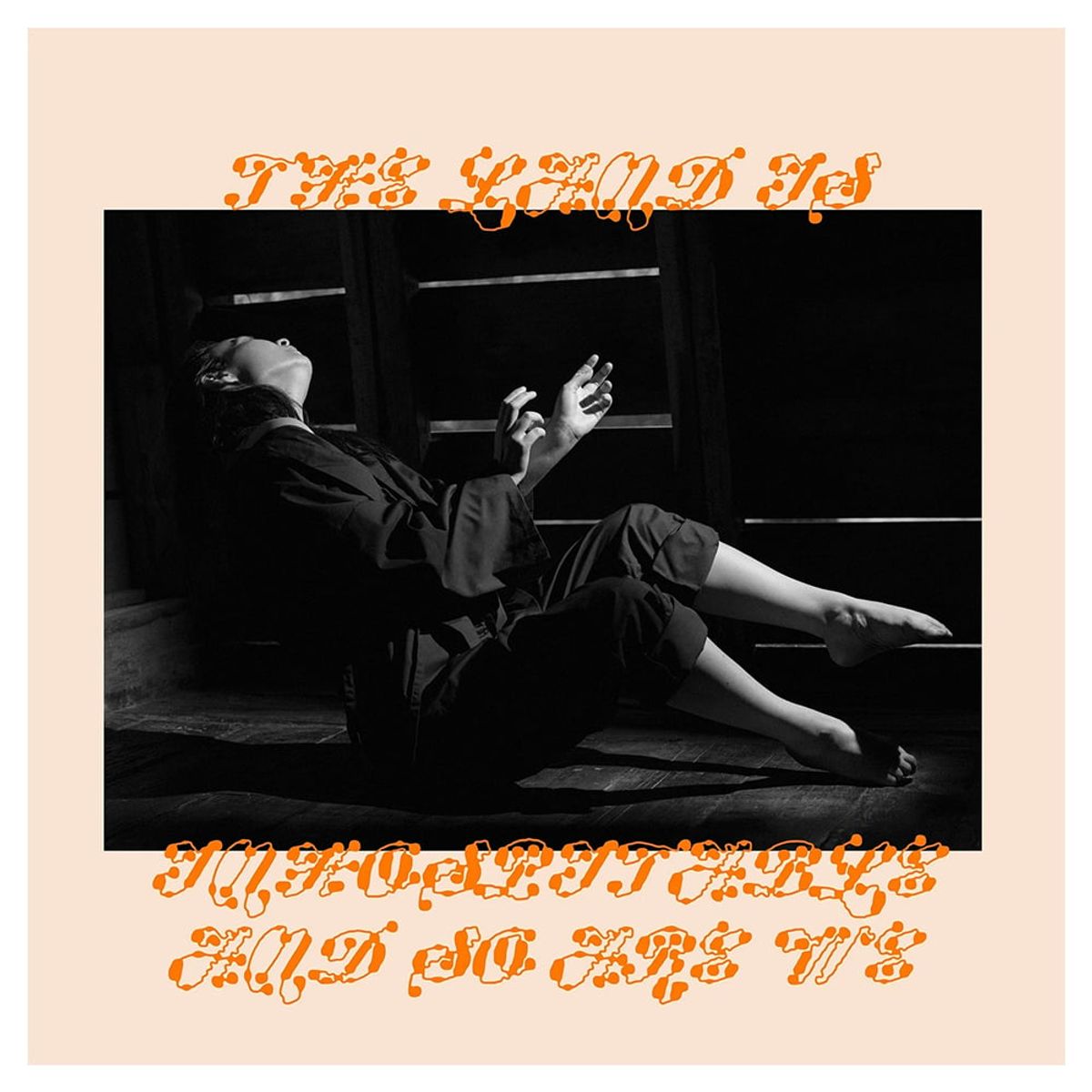 GENERICO - Mitski -The Land Is Inhospitable And So Are We- Vinilo