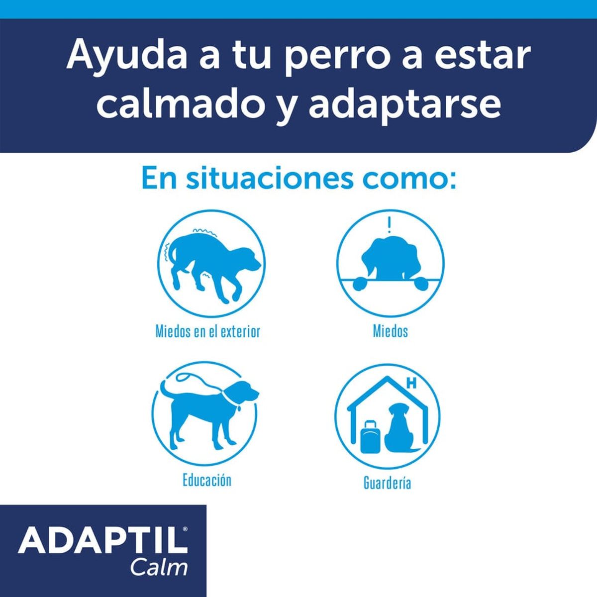 ADAPTIL - Adaptil Collar Calm Talla S/M Anti Estrés Perro Hasta 15 Kg