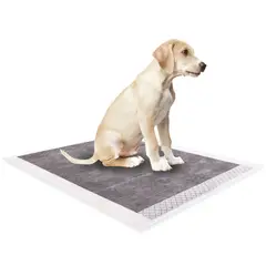 PETWOOW - 100 Sabanillas De Carbono 45x60cm Perros Mascotas