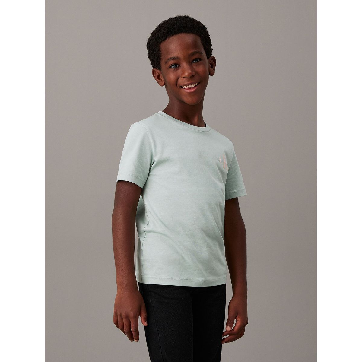 CALVIN KLEIN - Polera Niño Chest Monologo Verde Calvin Klein