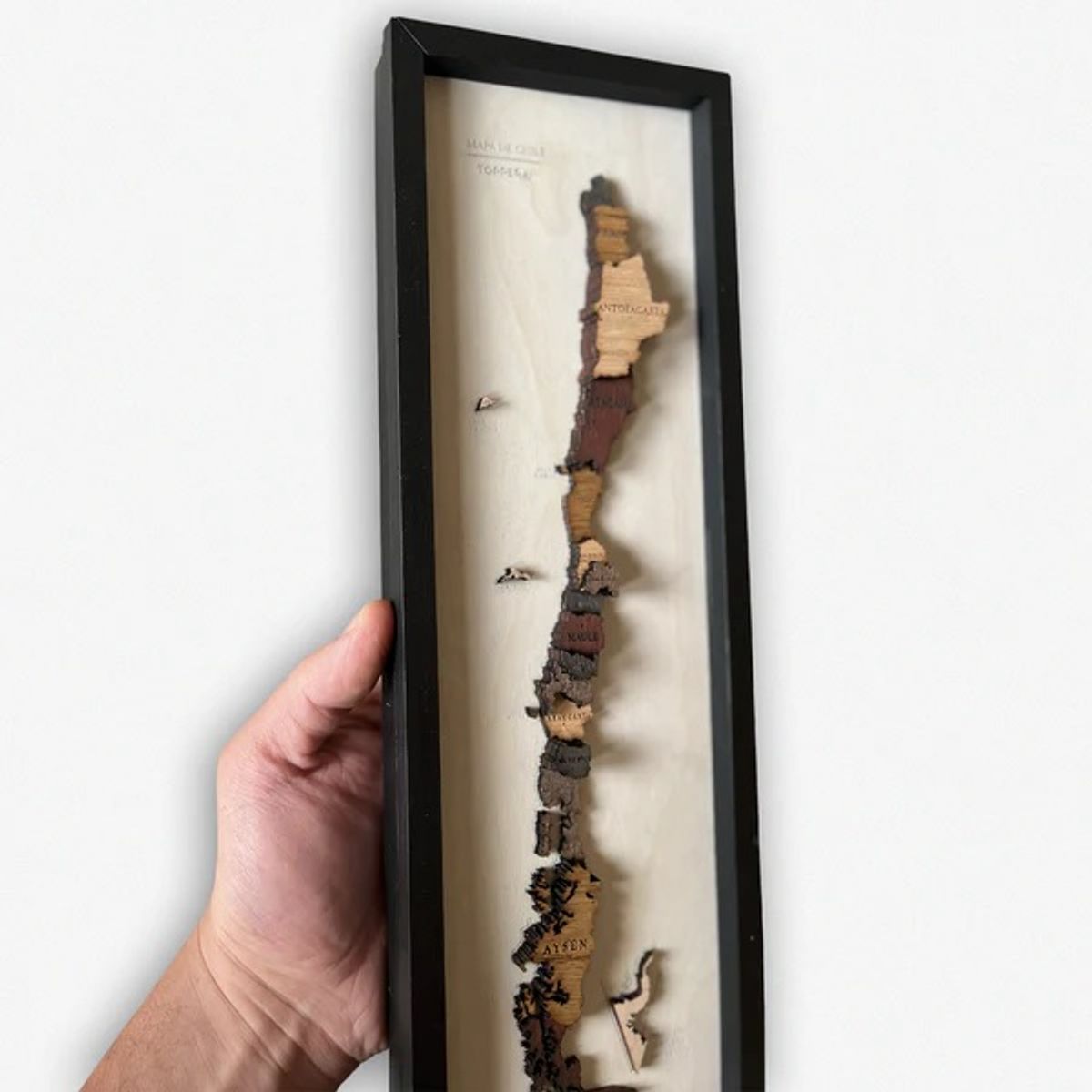 GENERICO - MAPA CHILE CUADRO 70x17 cm