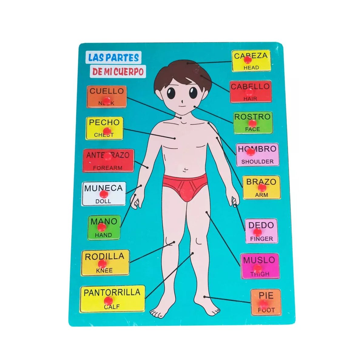 GENERICO - Rompecabezas Dicatico Multiaprendizaje Diseño Cuerpo Humano