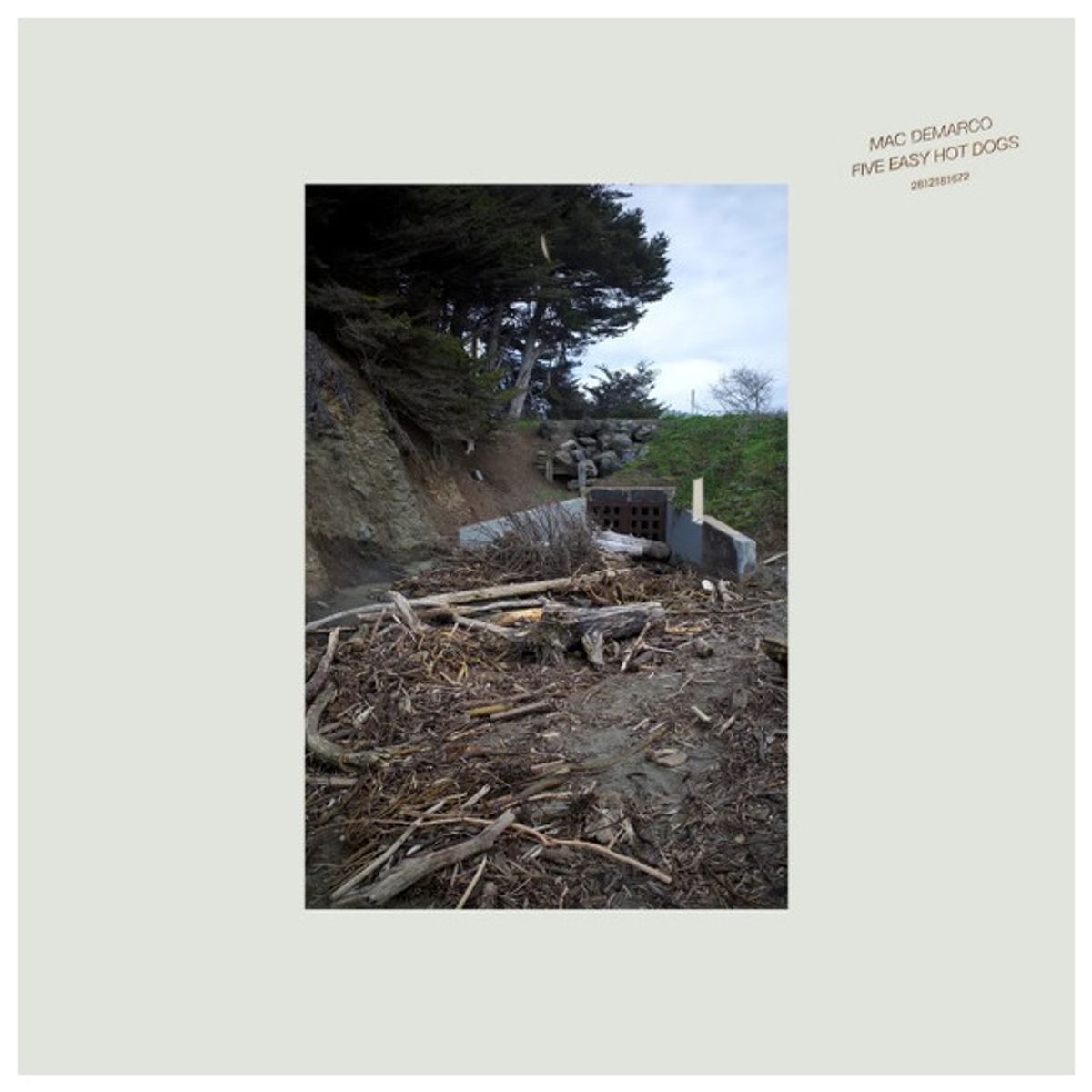 HITWAY MUSIC - MAC DEMARCO - FIVE EASY HOT DOGS - VINILO