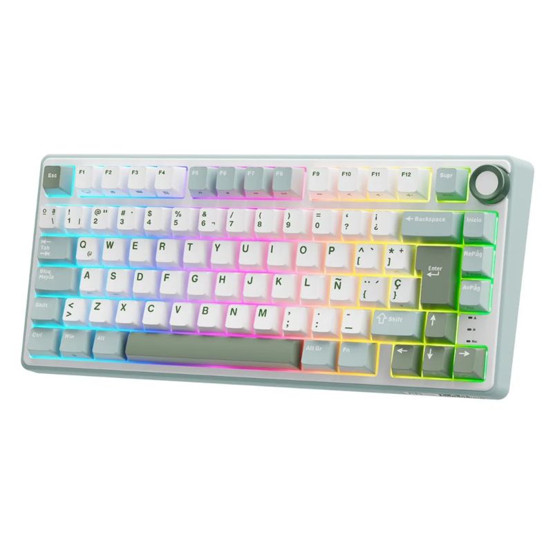 ROYAL KLUDGE - Teclado Mecánico Gamer Compacto RK R75 SkyCyan –  Switch Silver, RGB, Español