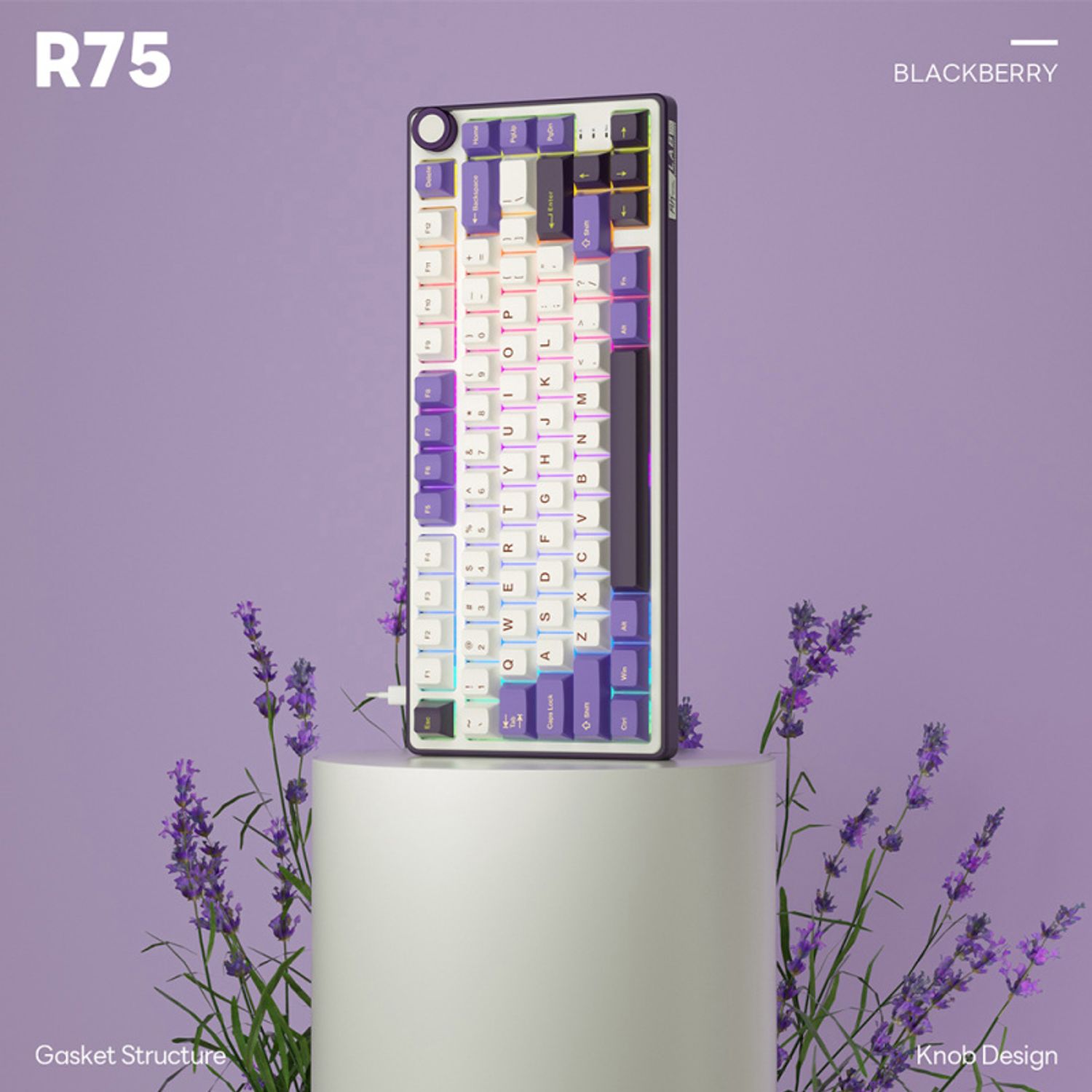 ROYAL KLUDGE Teclado Mecánico Español Rk Royal Kludge R75