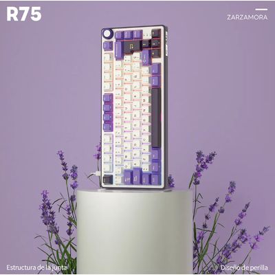 Imagen 2 del producto Teclado Mecánico Gamer Compacto RK R75 Blackberry – Switch Silver, RGB, Español