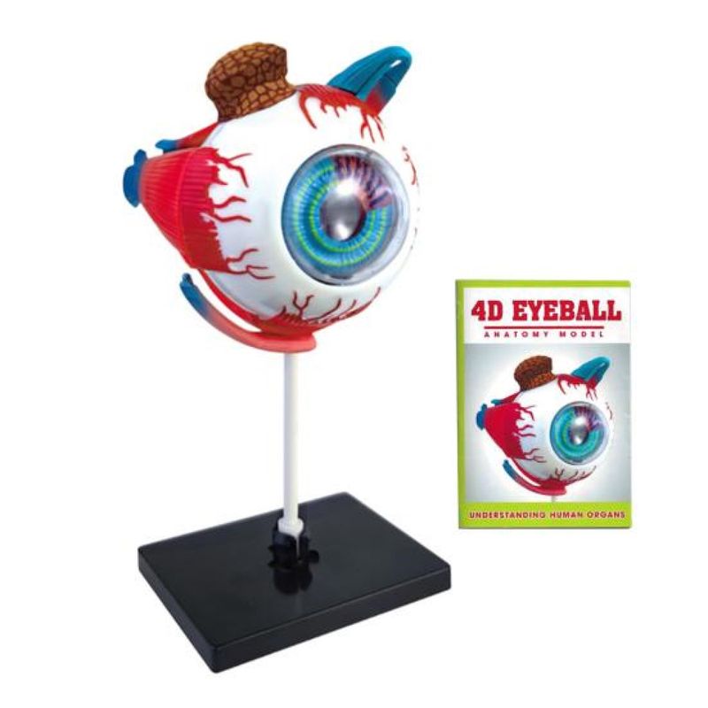 GENERICO - Ojo 4d Rompecabeza Puzzle Armar Didáctico Educativo 55514