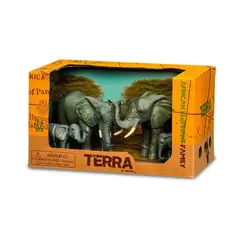 TERRA - Familia de elefantes -