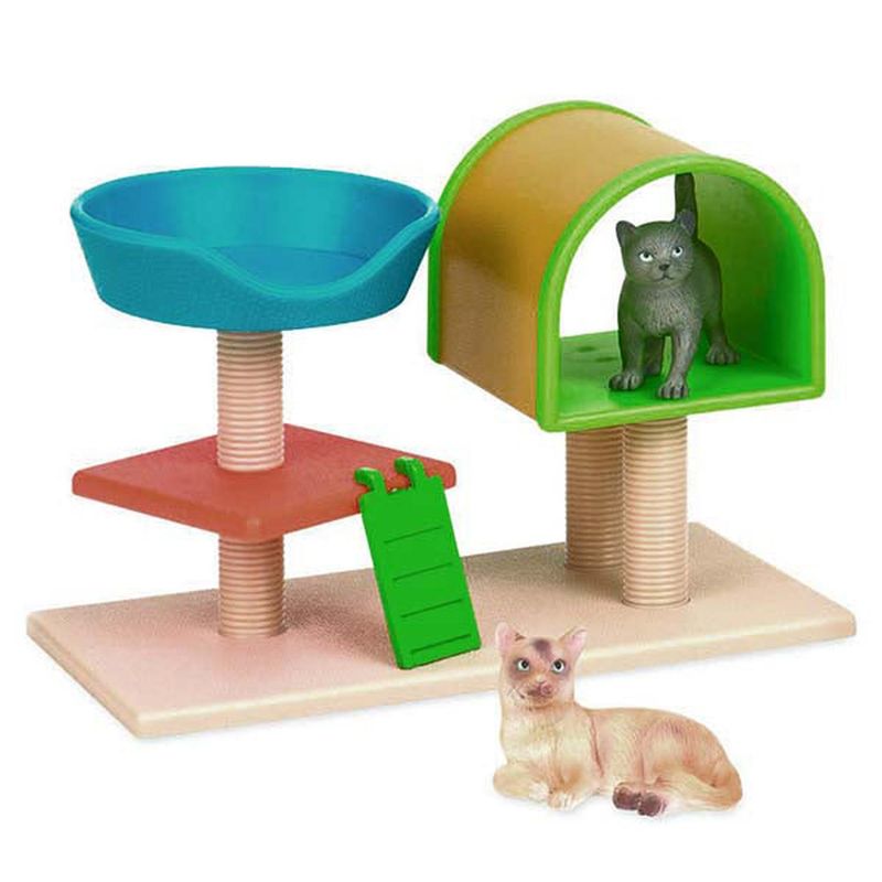TERRA - Casa gatos