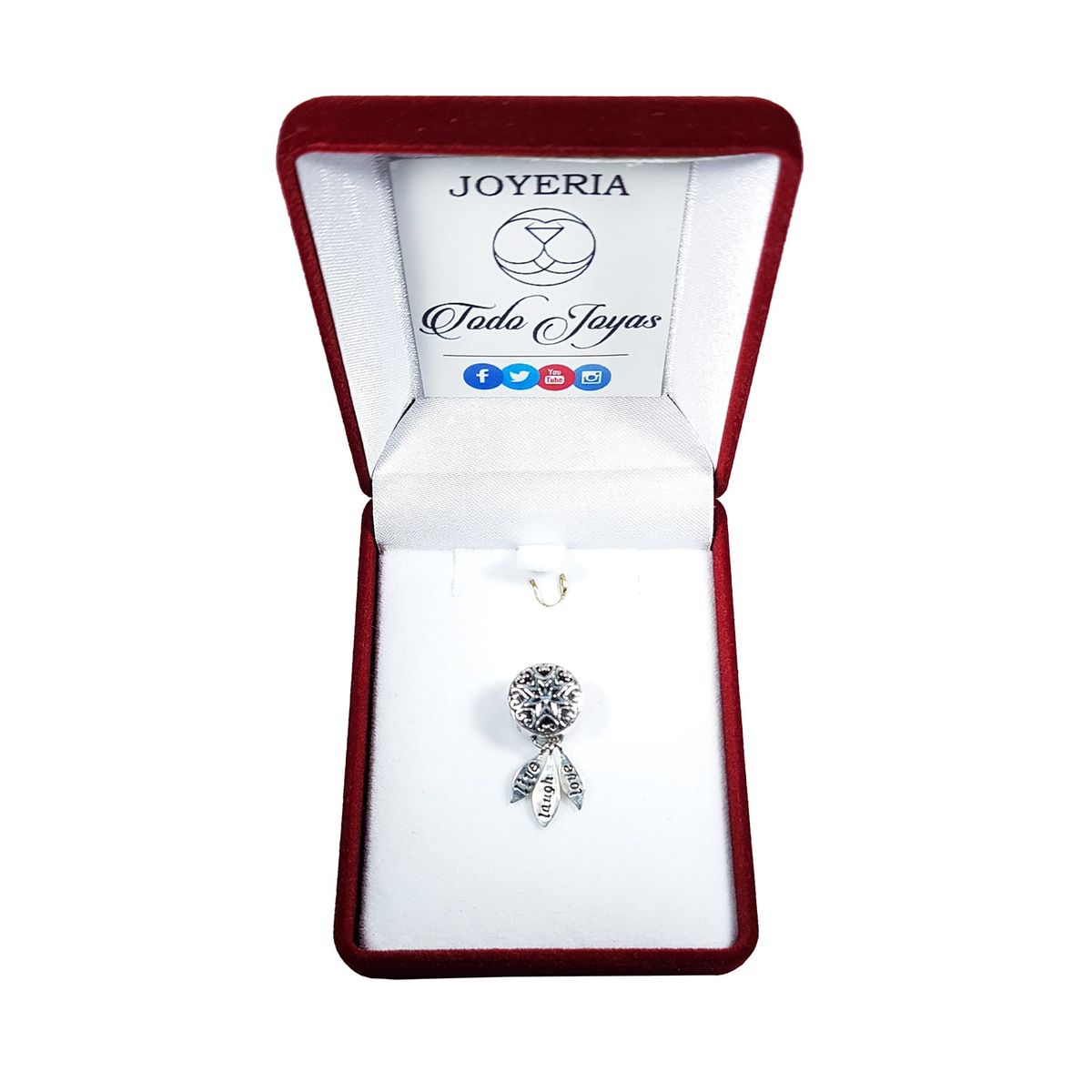 TODOJOYAS - Charm Dije Plata 925 Atrapa Sueños Live