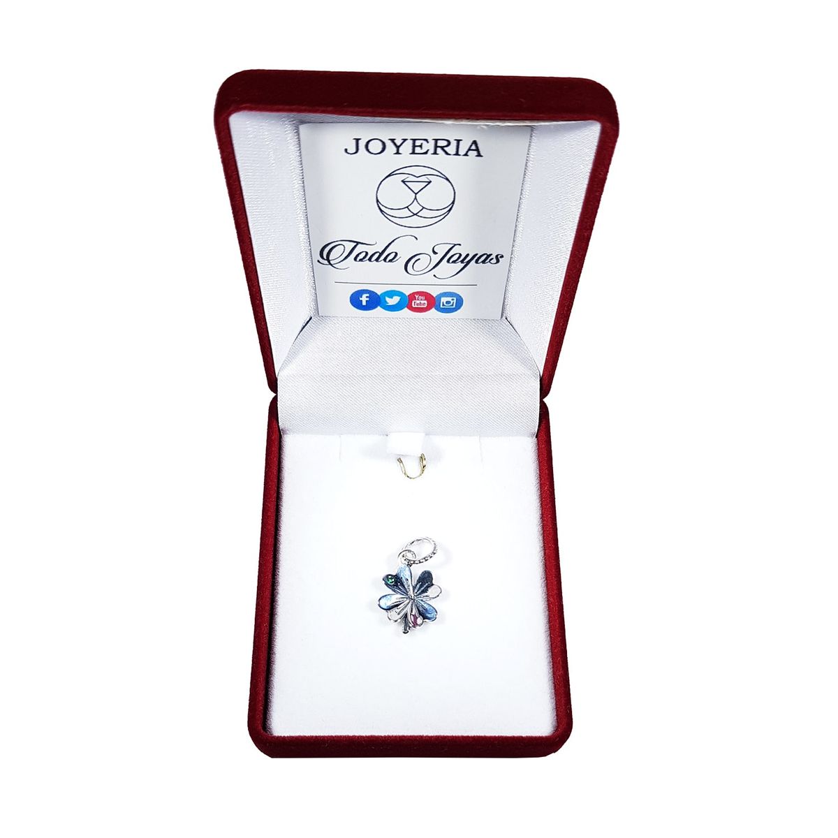 TODOJOYAS - Charm Dije Plata 925 Trebol Plateado Circon