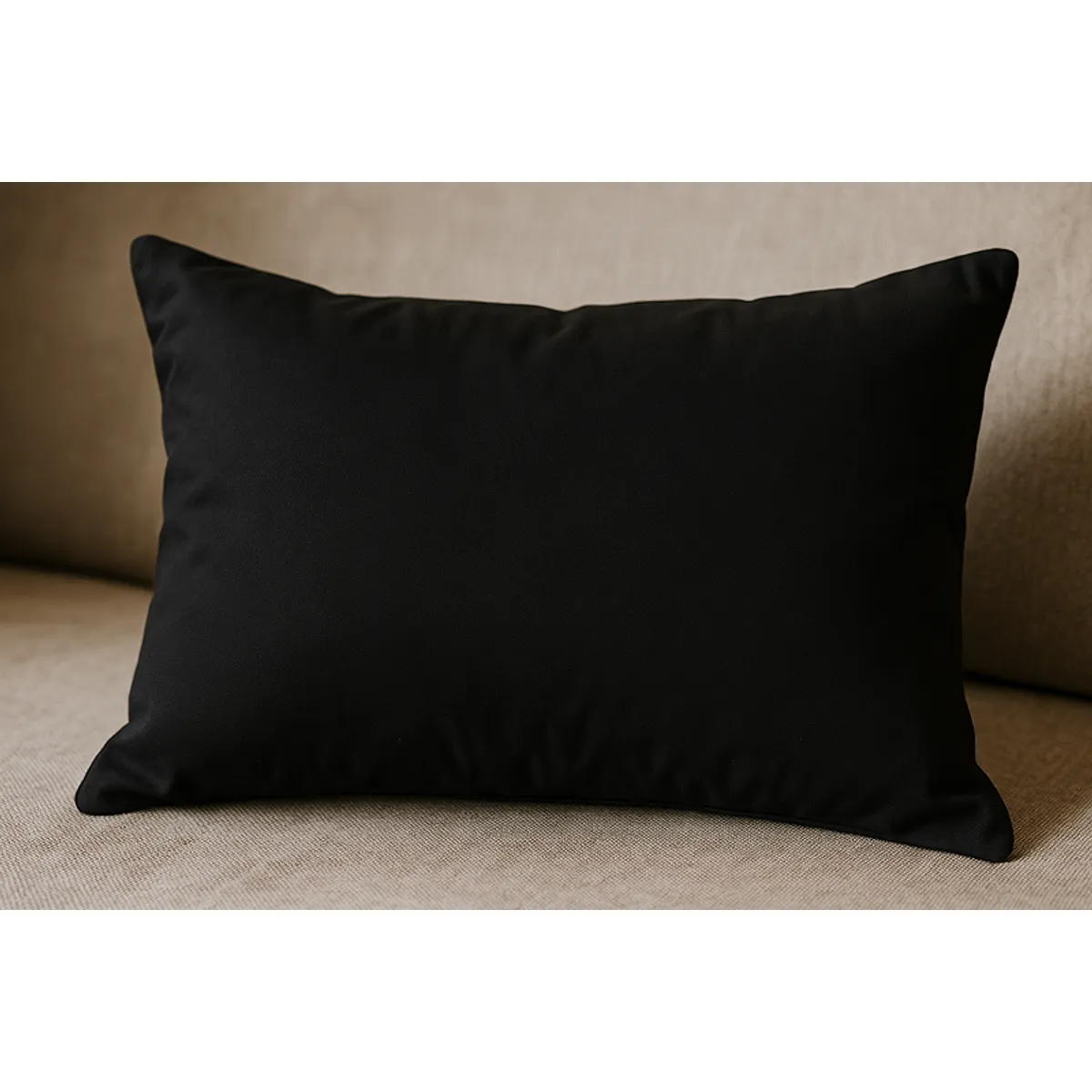REHUCE - Cojin Felpa 50x30 Cm Negro
