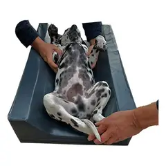 REHUCE - Cojin Veterinaria Para Procedimientos Gris