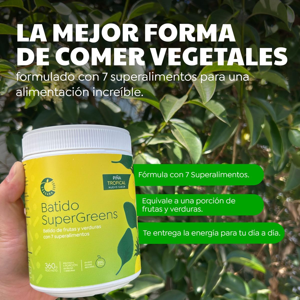 CASCARA FOODS - Batido SuperGreens Piña 30 días