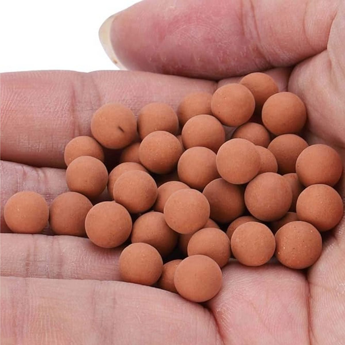 GENERICO - Arcilla expandida en formato de 1 kilo