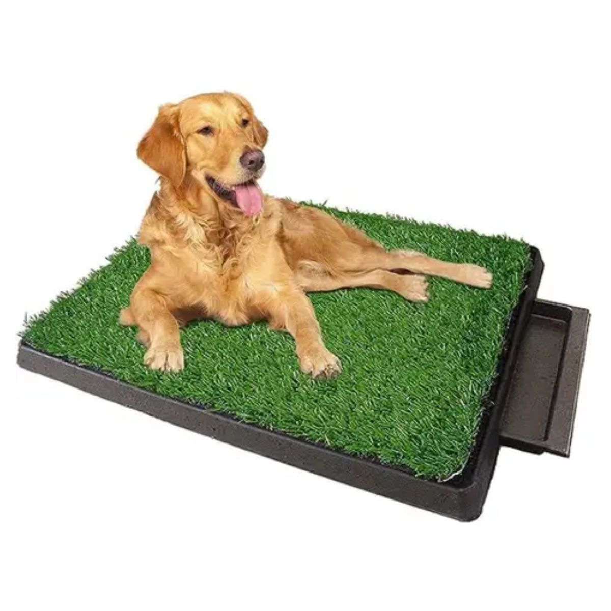 MOVI - Baño para mascotas XL