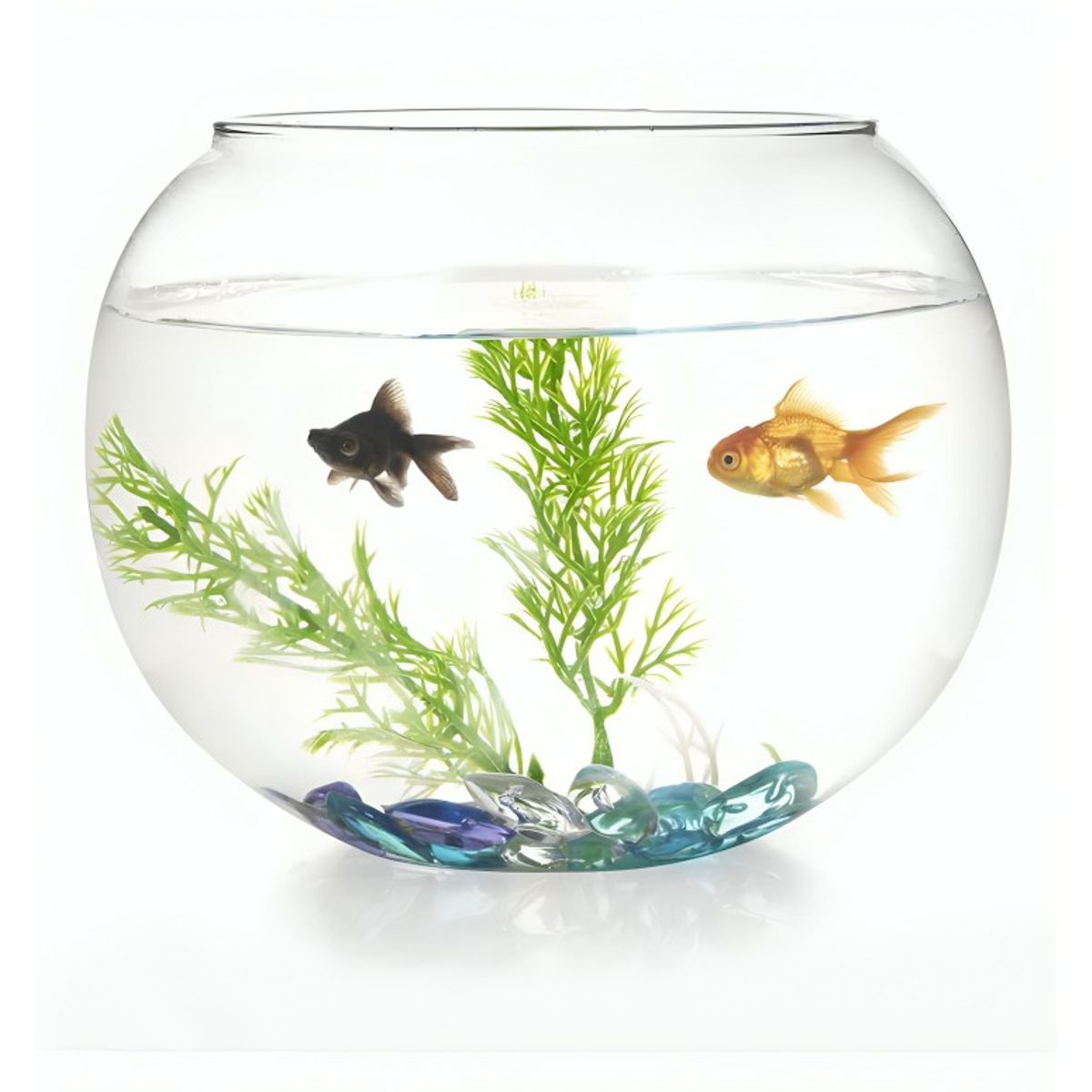 OEM - FLORERO ENVASE ACUARIO PECERA  DECORATIVO 15CM