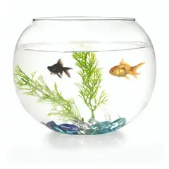 OEM - FLORERO ENVASE ACUARIO PECERA DECORATIVO 15CM