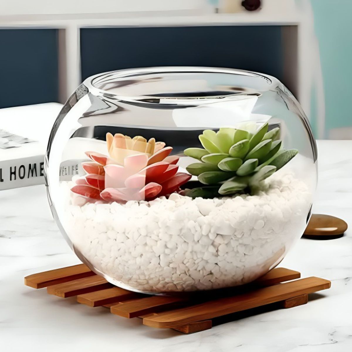 OEM - FLORERO ENVASE ACUARIO PECERA  DECORATIVO 15CM