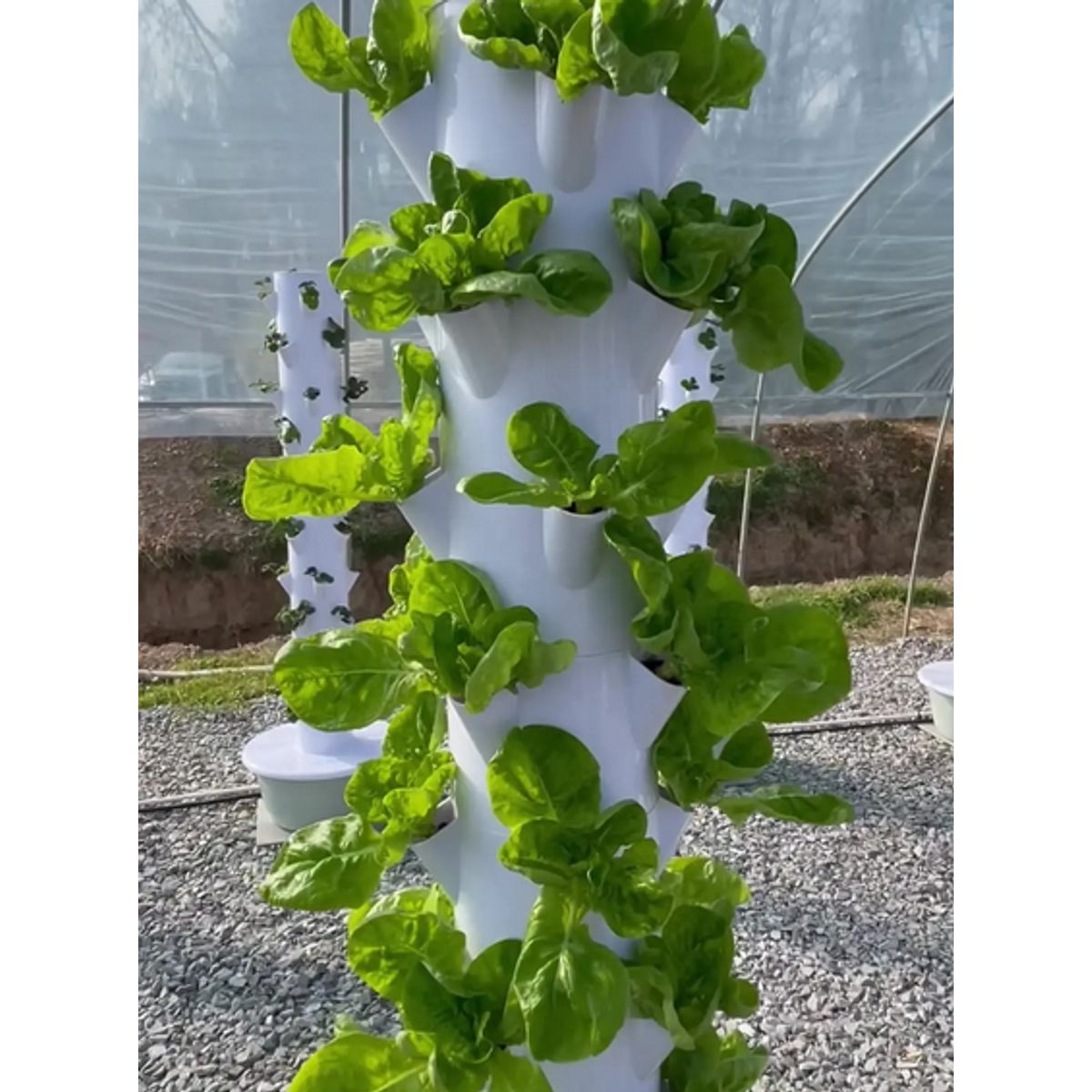 GENERICO - Sistema Hidroponico Vertical De 36 Posiciones