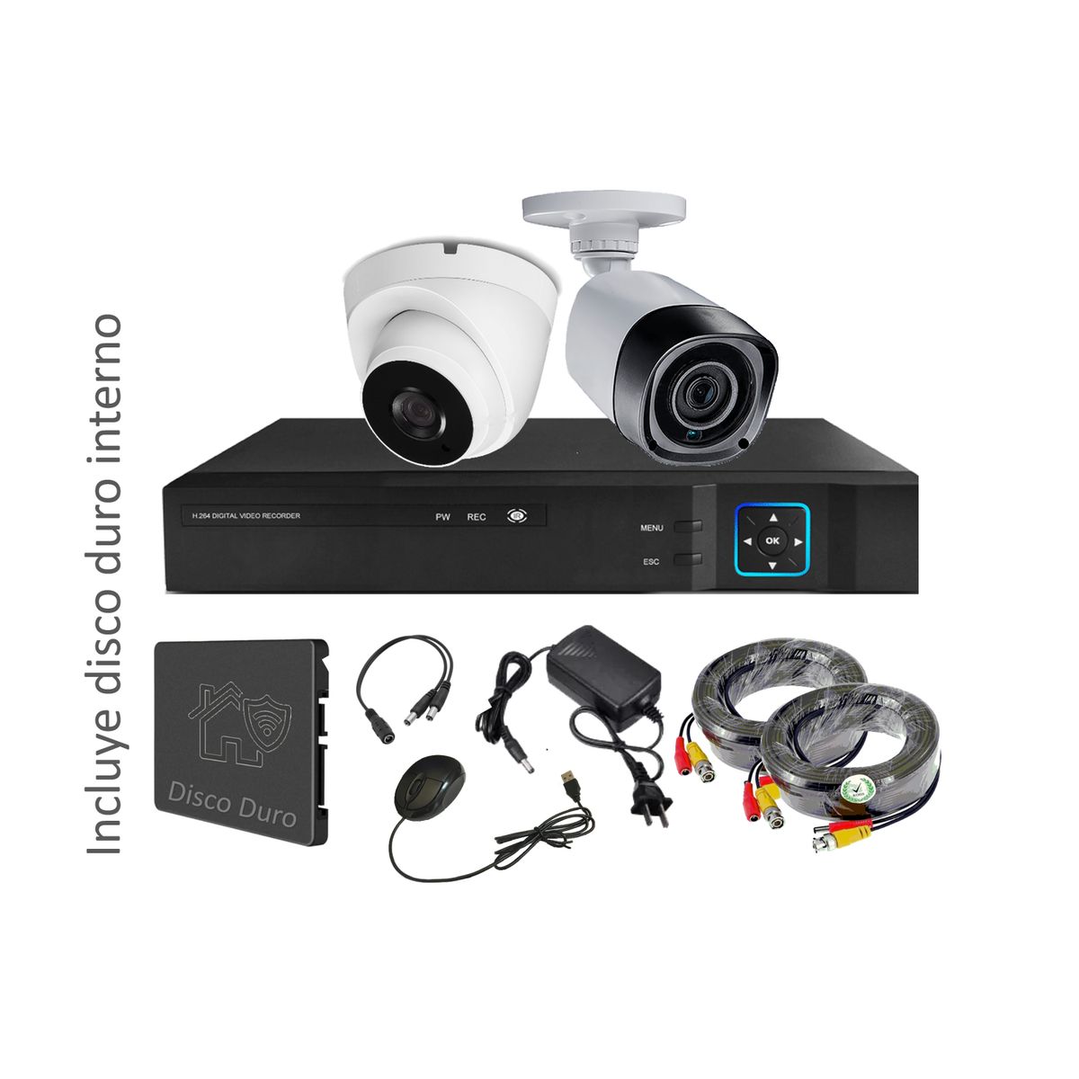 VIPA - Kit 2 Cámaras HD 1MP con Disco Duro M21LDD