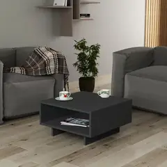 GENERICO - Mesa de Centro Minimalista con Espacios de Almacenamiento