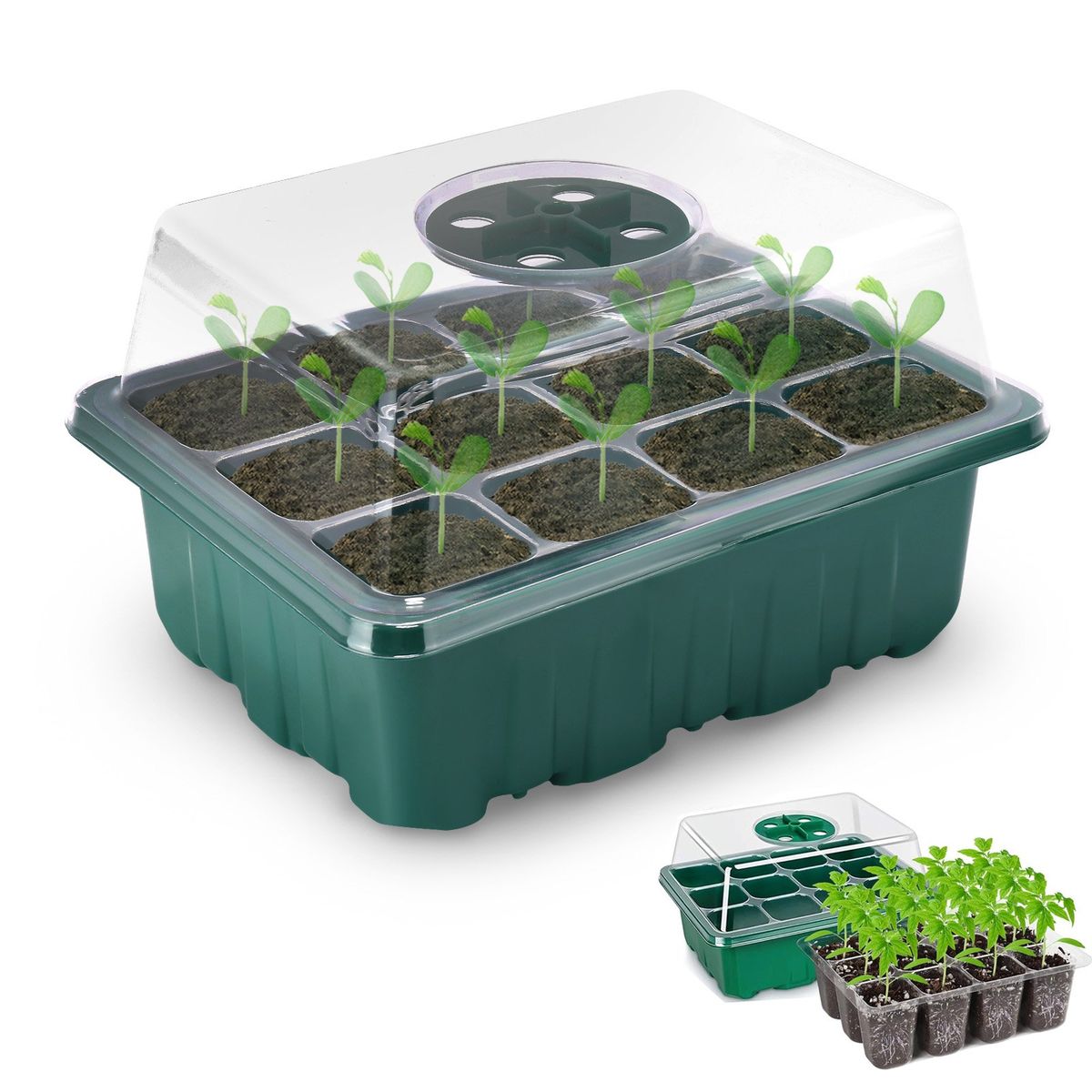 KUANGYE - Mini Invernadero Bandejas De Cultivo Germinación