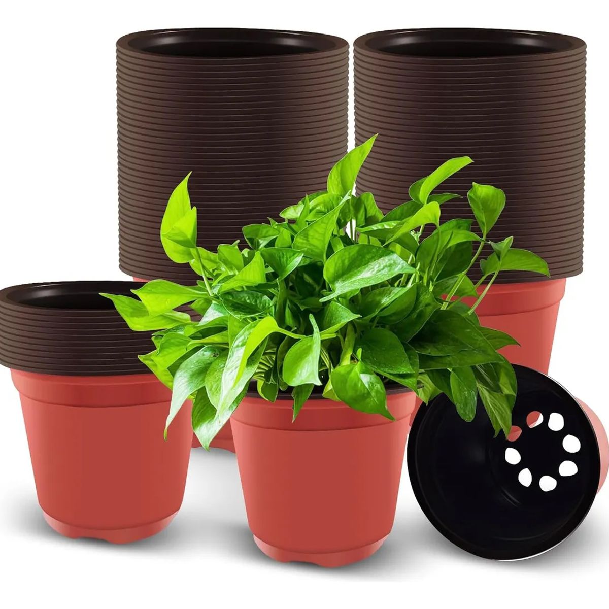 KUANGYE - 135 Maceteros Flexibles Vivero 9x8cm Terracota Kit Inicial