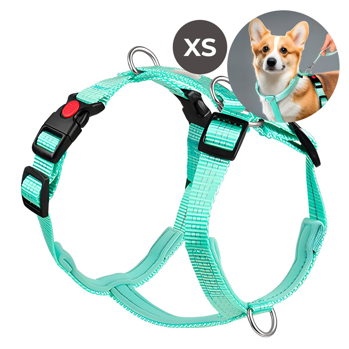 GENERICO - Arnés Anti-tirones Turquesa Perro Medianos Tracción Talla XS