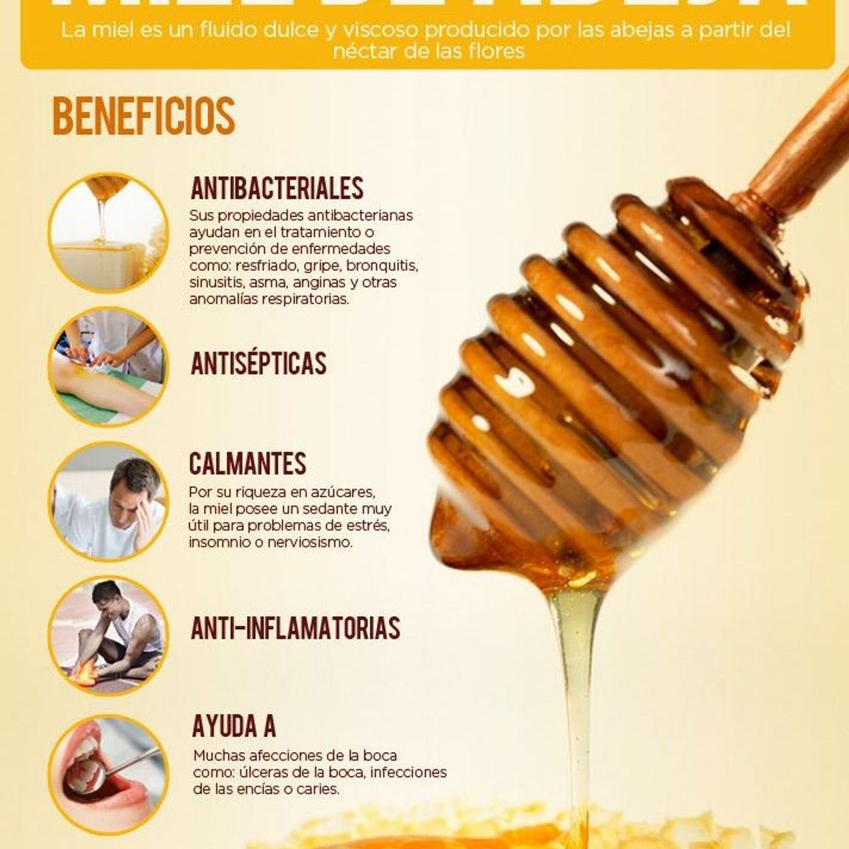 GENERICO - Miel Pura Multifloral 1 Kg Doña Oriana