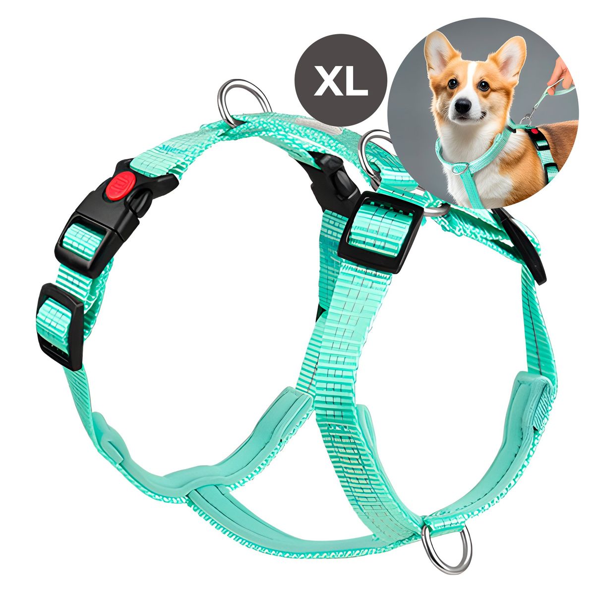 GENERICO - Arnés Anti-tirones Turquesa Perros Grandes Tracción Talla XL